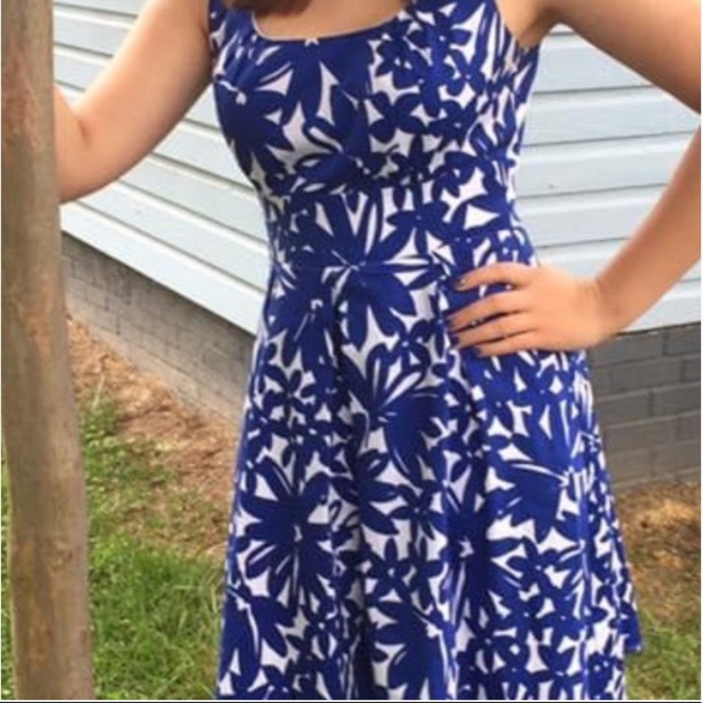 Kim Rogers Blue Print Petite Dress